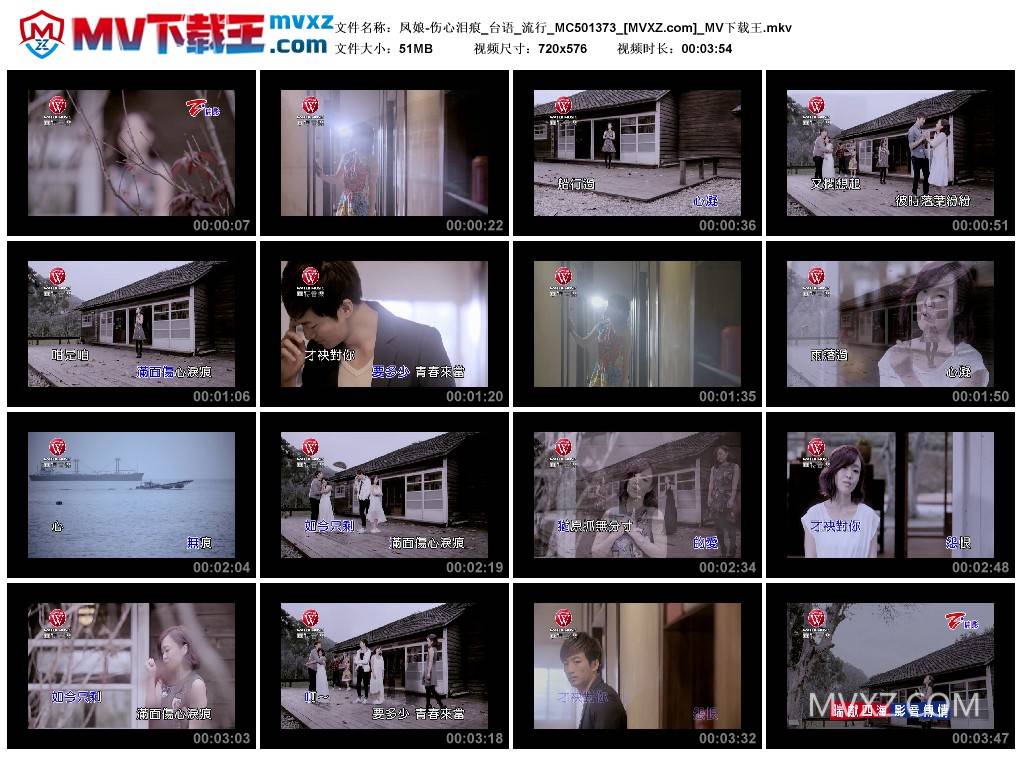 凤娘-伤心泪痕_台语_流行_MC501373